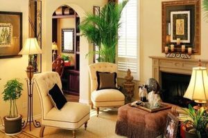 How to put Feng shui plants in living room