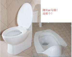 Squat toilet and toilet seat choose which good?