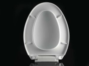 Where can I sell ordinary toilet seats