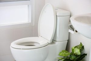 What you need to learn: Keep the toilet seat closed when you flush