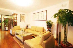 Living room plants how to place feng shui