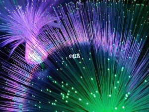 It is worth understanding the fiber optic lamp related content