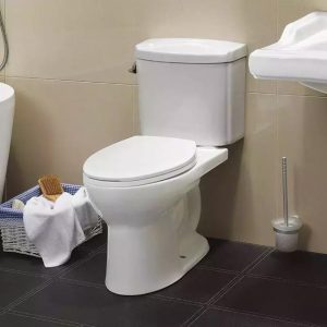 How to buy toilet? Specific purchase guide