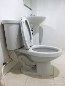 What is the right size for a household toilet? Household toilet size standard