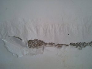 Easy to deal with wall problems