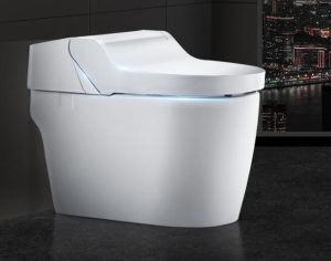 What are the top ten smart toilet ranking brands