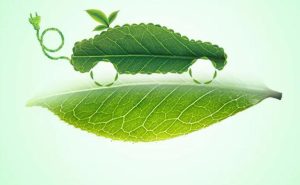 What are green products? What are the green products