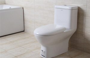 What brand of toilet is of good quality? Five brands strongly recommend