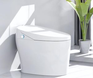 Smart toilet ranking which brand is the best – automatic smart toilet brand ranking