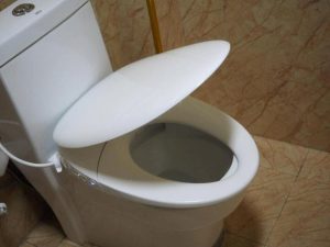 The reason to flush the toilet seat