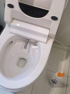 What’s with the smart toilet that makes you want to shit when you flush your ass