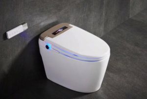 Smart toilet flushes first or cleans first